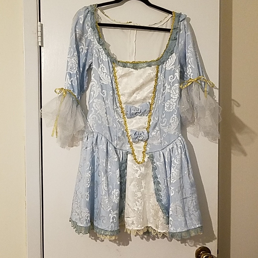Leg Avenue Marie Antoinette costume & wig.